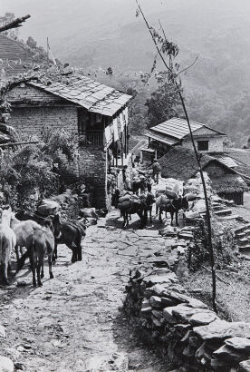 ALFRED GREGORY Above Begnas Tal Nepal