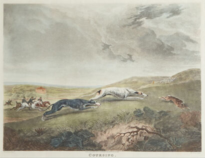 F C TURNER Coursing