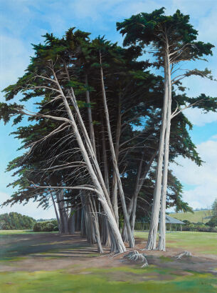 HAIHUI WANG Long Bay Park 松林低语