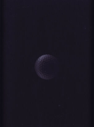 MICHAEL PAREKŌWHAI Mare Tranquillitatis: Sea of Tranquility