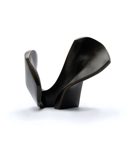 TANYA ASHKEN Whale Form
