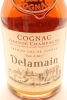 (1) Delamain Pale & Dry Premier Cru de Cognac, 40% ABV - 3