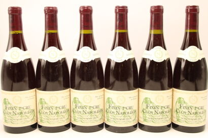 (6) 1998 Domaine Pierre Gelin Clos Napoleon Monopole, Fixin Premier Cru [WS93]