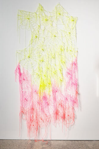 JUDY DARRAGH Dreamweaver 2