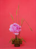 ANN SHELTON The Congress Woman, Peony (Paeonia sp.)
