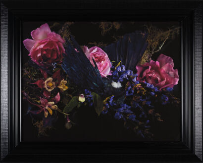 FIONA PARDINGTON Tui on a Byre of Flowering Sage and Wild Roses