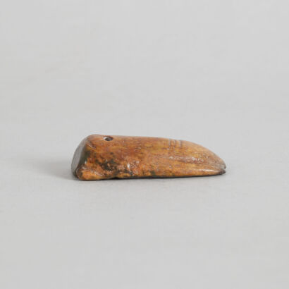 A Chinese Jade Cicada
