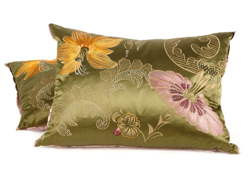 A Pair of Designers Guild Ariana Cushions