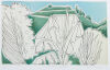 CLAUDIA POND-EYLEY Mount Eden Landscape