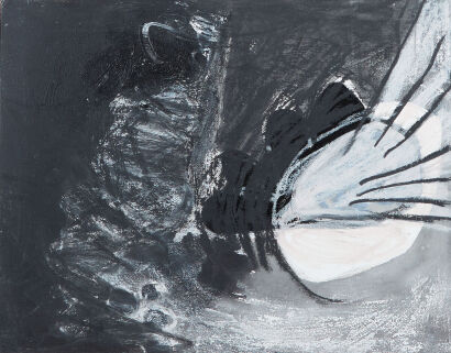 CAT FOOKS untitled