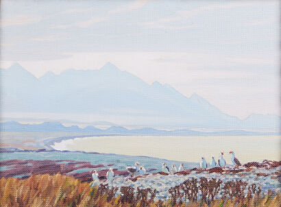 MARCUS KING Calm afternoon Kaikoura