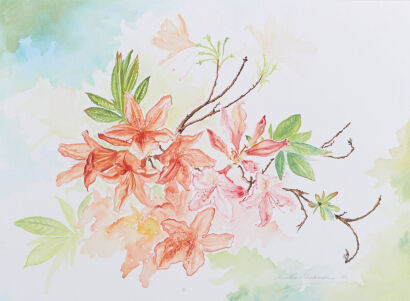 ANNETTE DICKENSON untitled