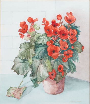 GWYNETH GROVER Begonia in a Pot