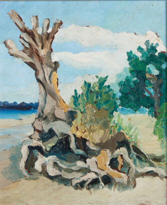 DAVID KENNEDY untitled