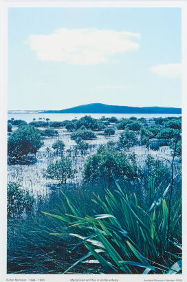 ROBIN MORRISON Mangroves and flax in a tidal estuary