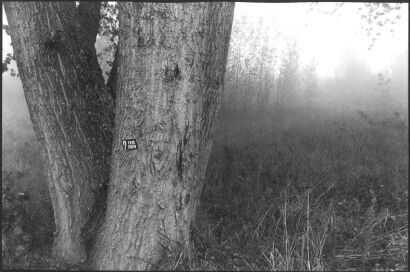 ALAN LEATHERBY untitled