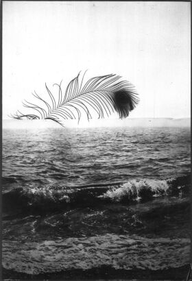 BRYONY DALEFIELD untitled