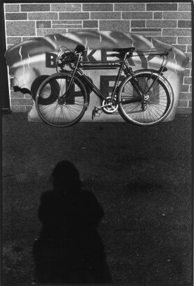 BRYONY DALEFIELD untitled
