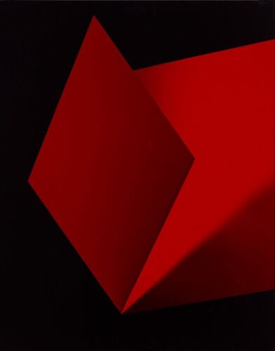 ANDREW BECK Open Window
