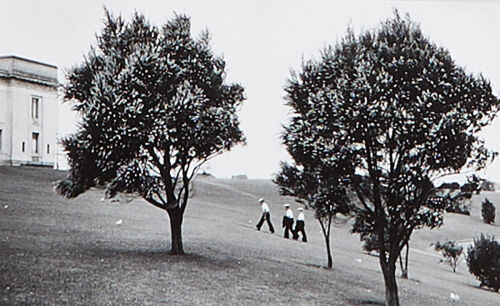 JOHN FIELDS Auckland Museum Hill