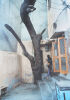 ARTIST UNKNOWN untitled - 3