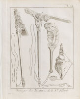 Specimens of New Zealand Workmanship