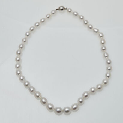 Modern South Sea Pearl Necklace