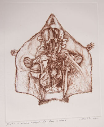 BARRY CLEAVIN Political Portrait-find & Follow the Leader