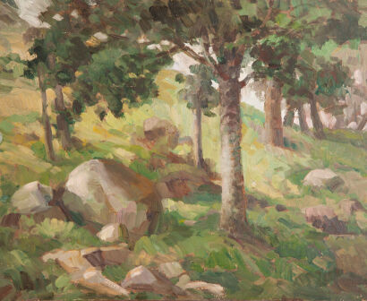 IDA EISE On The Hillside - Paku, Tairua, Coromandel