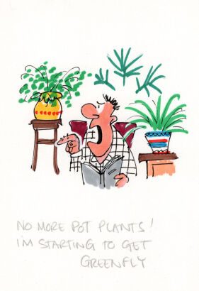 DAVID FLETCHER No more pot plants...