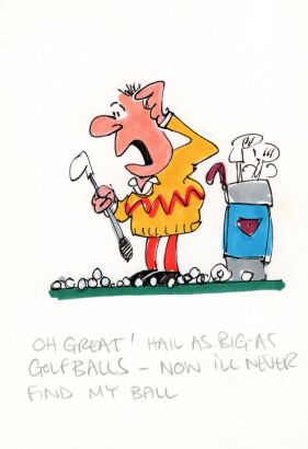 DAVID FLETCHER Oh great! Hail as...