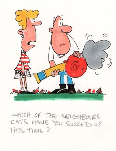 DAVID FLETCHER Which of the neighbors...
