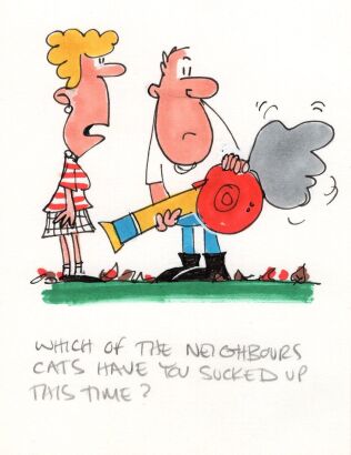 DAVID FLETCHER Which of the neighbors...