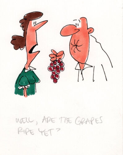 DAVID FLETCHER Well, are the grapes...