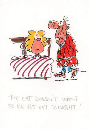 DAVID FLETCHER The cat doesn't want...