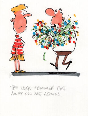 DAVID FLETCHER The edge trimmer got...