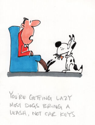 DAVID FLETCHER You're getting lazy most dogs...