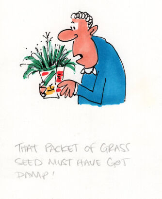 DAVID FLETCHER That packet of grass...