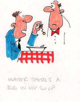DAVID FLETCHER Waiter, there's a bug...
