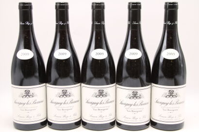 (5) 2009 Domaine Simon Bize et Fils Savigny-les-Beaune Les Bourgeots, Cote de Beaune [JR16]