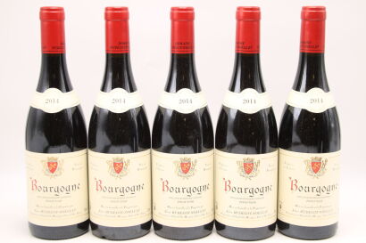 (5) 2014 Alain Hudelot-Noellat Bourgogne Rouge, Burgundy