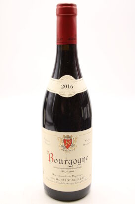 (1) 2016 Alain Hudelot-Noellat Bourgogne Rouge, Burgundy