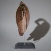 A Bambara Mask, Mali - 3
