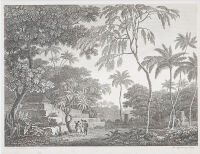 The Afiatookas of Futtafaihe at Mooa