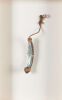 A&nbsp;Pā Kahawai Fishing Hook - 2