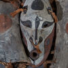A Canoe Shield, Sepik River, Papua New Guinea - 3
