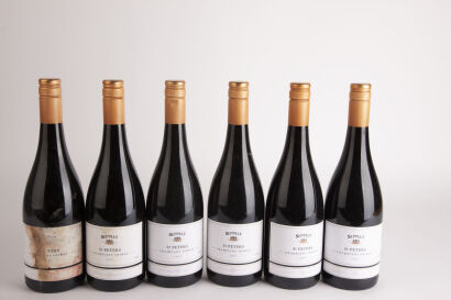 (2) 2005 Seppelt St Peters Shiraz, Grampians