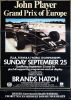 A Mixed Collection of Motor Racing Posters - 5