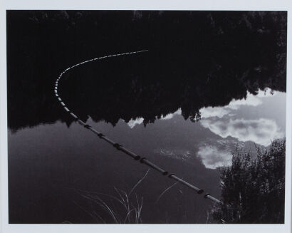 WAYNE BARRAR Log Boom, Lake Rotorangi (Patea)