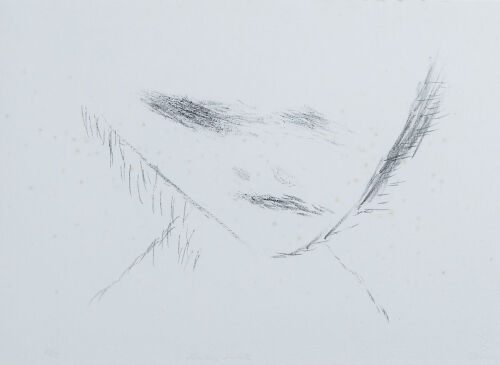 TONY FOMISON Floating Smile #2